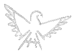Flight of the Silver Eagle