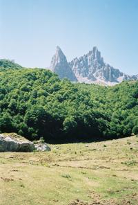 <img200*0:http://elftown.heddate.com/stuff/ansab%C3%A8re.jpg>