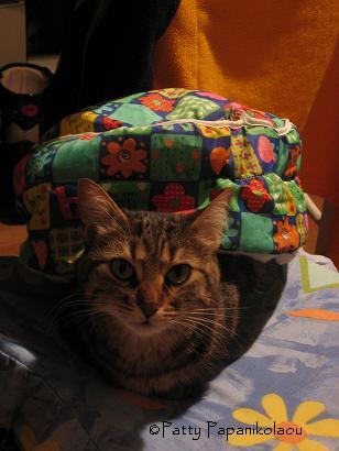 <img:stuff/arturt.jpg>