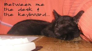 <img300*0:stuff/asleep%20on%20desk%201a.jpg>