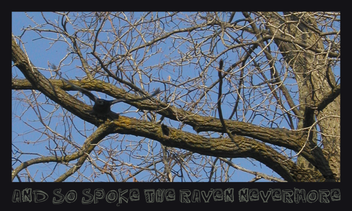 <img700*0:stuff/asstRavann.png>