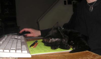 <img400*0:stuff/at%20desk%206a.jpg>