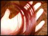 <img100*0:stuff/ataymisc15.jpg>