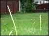 <img100*0:stuff/atayp3.jpg>