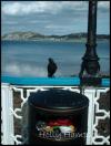 <img100*0:stuff/atayp6.jpg>