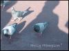 <img100*0:stuff/atays8.jpg>