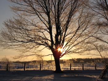 <img350*0:stuff/awashingoldenglow.jpg>