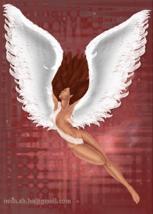 <img300*0:stuff/b%20raven-jpg.jpg>