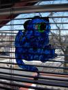 <img100*0:http://elftown.heddate.com/stuff/babydragonwindowpaint.jpg>