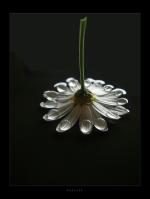 <img150*0:stuff/ballett%20copy.jpg>