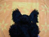 <img200*0:stuff/batdog%2ejpg>