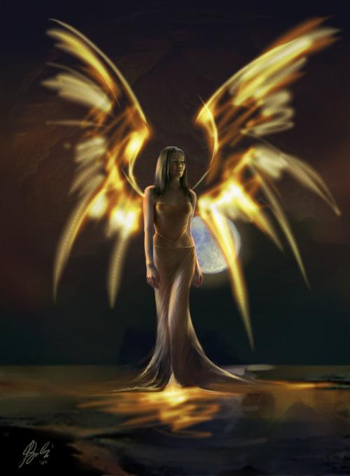 <img500*0:http://elftown.heddate.com/stuff/bdp25perc.jpg>