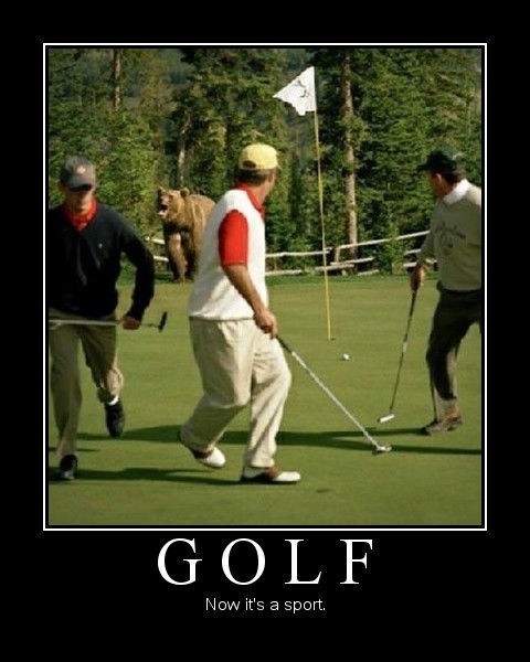 <img:stuff/bearGolf.jpg>