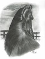 <img0*200:stuff/before_the_storm_354984351.jpg>