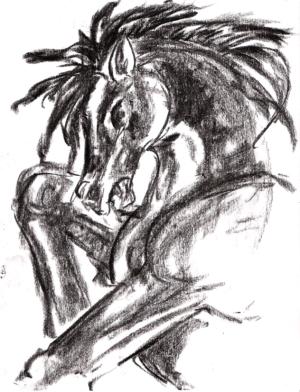 <img300*0:stuff/bh1.jpg>