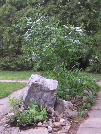 <img400*0:stuff/big%20rock%20%26%20hawthorne.jpg>