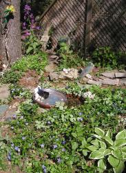 <img0*250:stuff/bird%20bath%20within%20the%20garden.jpg>