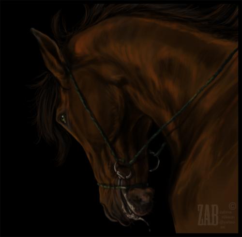 <img500*0:stuff/bittedhorsefrombehind.jpg>