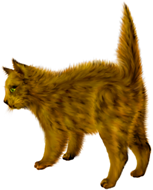 <img:stuff/blackcat_scared_red_rev.png>