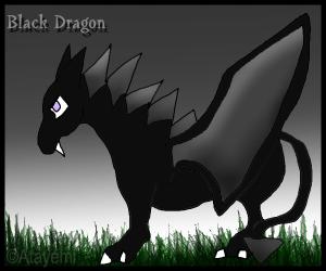 <img300*0:http://elftown.heddate.com/stuff/blackdragonataykura.jpg?y=0&x>