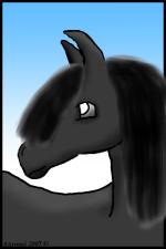 <img150*0:stuff/blackhorsebyatayfirstentry.jpg>