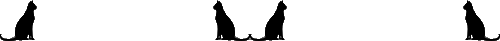 <img:stuff/blackjittercatdiv.gif>
