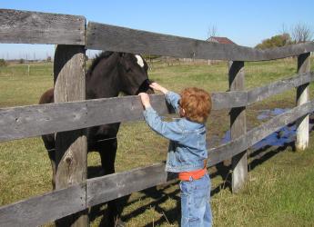 <img0*250:stuff/blk%20colt%20%26%20Eirikr.jpg>