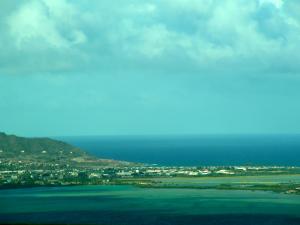 <img300*0:stuff/bluenature.jpg>