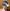 <img10*0:stuff/bluering1.jpg>