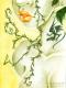 <img0*80:http://elftown.heddate.com/stuff/bonnydooncolsm.jpg>