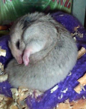 <img300*0:stuff/bubu10.jpg>