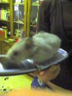 <img250*0:stuff/bubu14.jpg>