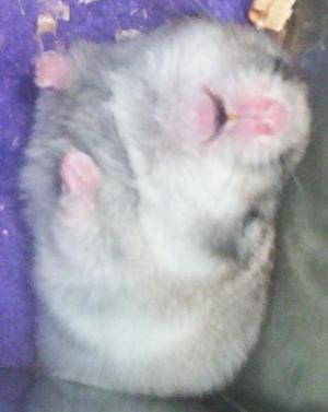<img300*0:stuff/bubu2.jpg>