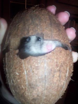 <img300*0:stuff/bubu4.jpg>