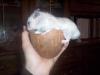 <img100*0:stuff/bubu6.jpg>
