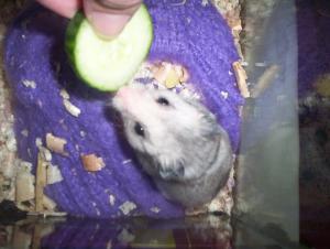 <img300*0:stuff/bubu7.jpg>