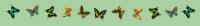 <img200*0:stuff/butterflies.jpg>