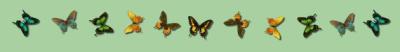 <img400*0:http://elftown.heddate.com/stuff/butterflies.jpg>