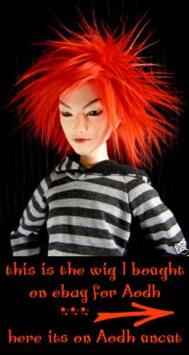 <img0*500:stuff/carrotred%20furwig.jpg>