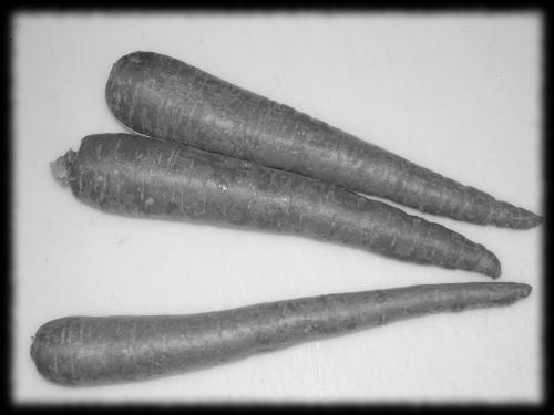 <img500*0:stuff/carrots.jpg>