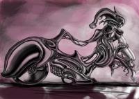 <img200*0:http://elftown.heddate.com/stuff/casey26.jpg>