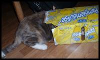 <img200*0:stuff/catbox.jpg>