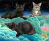 <img100*0:stuff/cats_n1_lowres.jpg>