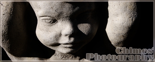 <img:stuff/chimesphotog.png>