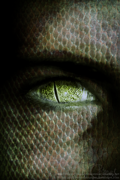 <img500*0:stuff/chimesreptilian.png>