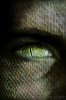 Reptilian