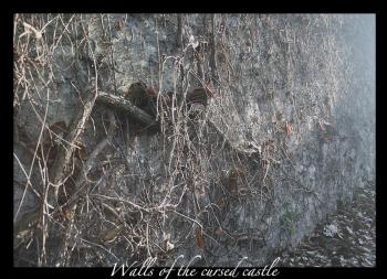 <img350*0:stuff/chryspcdf.jpg>