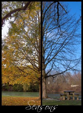 <img350*0:stuff/chryspcseasons.jpg>