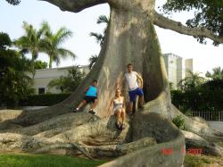 <img250*0:stuff/cia%20huge%20tree%203.jpg>