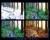 <img50*0:stuff/cia%27s%20forest%20titled.jpg>